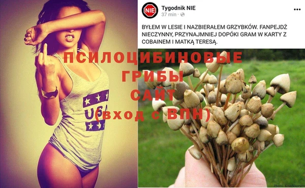 кокаин Краснослободск